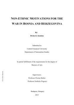 non-ethnic motivations for the war in bosnia and herzegovina