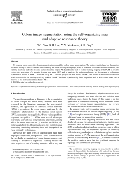 Colour image segmentation using the self