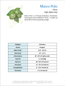 Marco Polo - John I. Haas