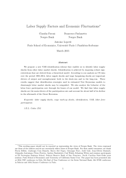 Labor Supply Factors and Economic Fluctuations