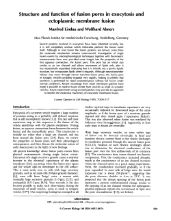Structure and function of fusion pores in exocytosis and ectoplasmic