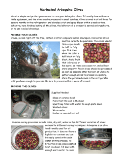 Home Cured Olives - Just Fruits and Exotics