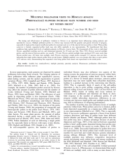 multiple pollinator visits to mimulus ringens (phrymaceae)