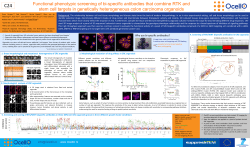 Functional phenotypic screening of bi-specific antibodies