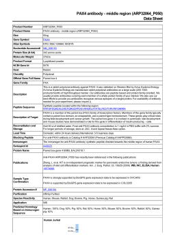PAX4 antibody - middle region (ARP32064_P050)