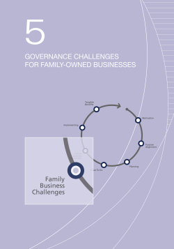 Chapter 5 Governance Challenges for Family
