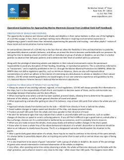 Operational Guidelines for Approaching Marine Mammals