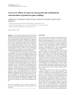 Carry-over effects of ozone on root growth and carbohydrate