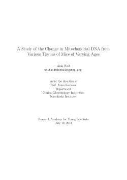 A Study of the Change in Mitochondrial DNA from Various