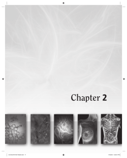 Chapter 2