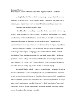My Last Attempt to Explain to You What Happened with the Lion Tamer