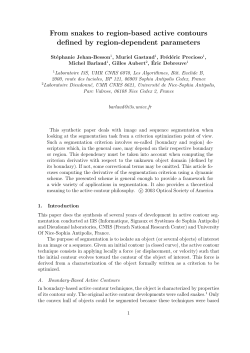 From snakes to region-based active contours defined by region