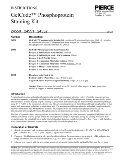 GelCode&trade; Phosphoprotein Staining Kit