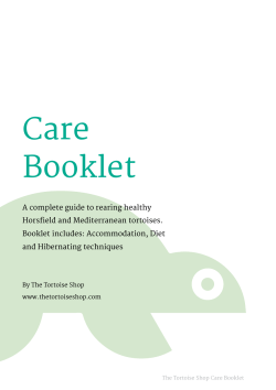 Care Booklet - thetortoiseshop.com