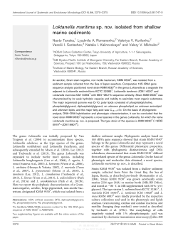 Loktanella maritima sp. nov. isolated from shallow marine sediments