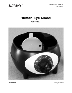 Human Eye Model - Equipment Manuals