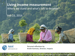 Living income measurement