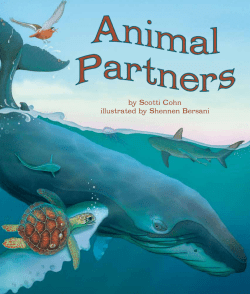 by Scotti Cohn illustrated by Shennen Bersani