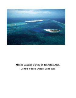 Marine Species Survey of Johnston Atoll