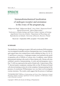 Immunohistochemical localization of androgen receptor and
