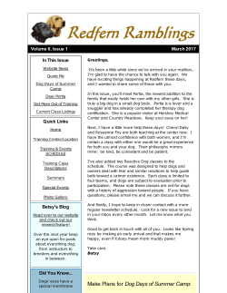 Make Plans for Dog Days of Summer Camp: