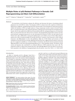 Multiple Roles of p53-Related Pathways in