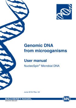 NucleoSpin&reg; Microbial DNA - Macherey