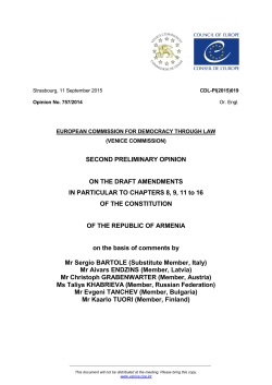 Second Preliminary Opinion - Venice Commission