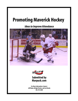 Promoting Maverick Hockey