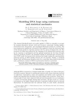 Modelling DNA loops using continuum and