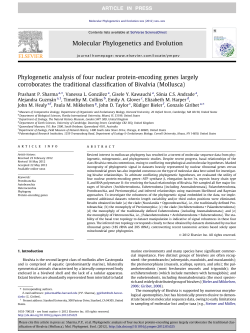 Phylogenetic analysis of four nuclear protein