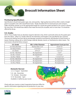 Broccoli Information Sheet