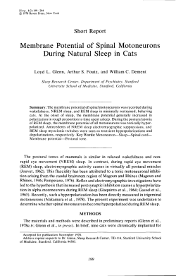 Membrane Potential of Spinal Motoneurons During Natural Sleep in