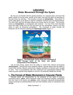 Laboratory Water Movement through the Xylem I. The Forces of