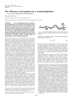 The efficiency of propulsion by a rotating flagellum