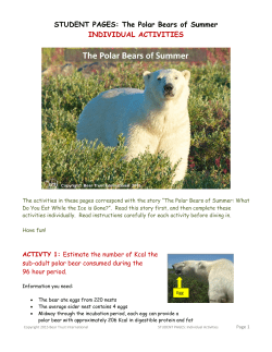STUDENT PAGES - Bear Trust International