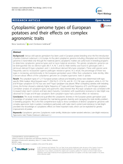 Cytoplasmic genome types of European potatoes and their effects