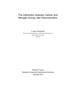 The Interaction between Carbon and Nitrogen during Litter