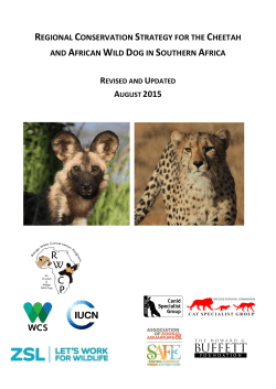 regional conservation strategy for the cheetah and african wild dog