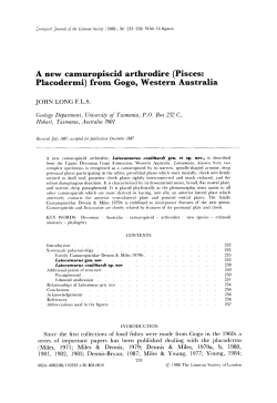 A new camuropiscid arthrodire (Pisces: Placodermi) from Gogo