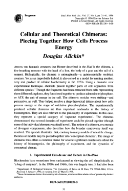 Cellular and Theoretical Chimeras: Piecing Together How Cells