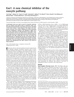 Exo1: A new chemical inhibitor of the exocytic pathway