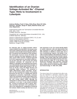 Identification of an Ovarian Voltage-Activated Na+