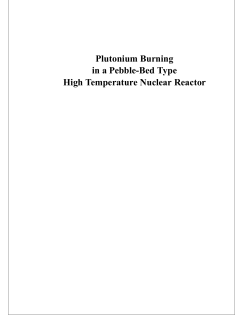 Plutonium Burning in a Pebble-Bed Type High Temperature Nuclear