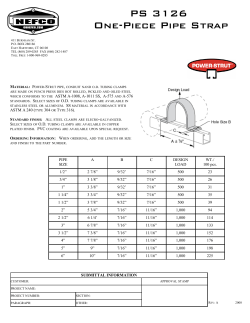 PS 3126 One-Piece Pipe Strap