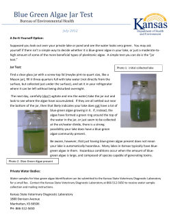 Blue Green Algae Jar Test