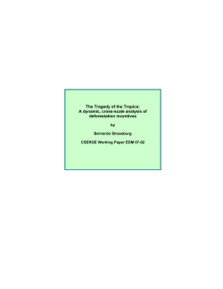 A dynamic, cross-scale analysis of deforestation incentives