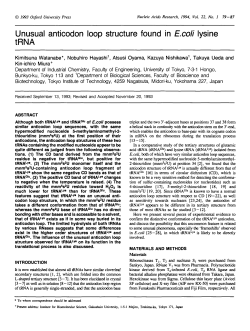 Unusual anticodon loop structure found in E.coli lysine tRNA