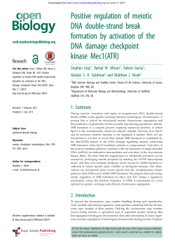 Positive regulation of meiotic DNA