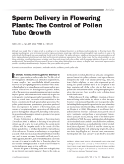 Sperm Delivery in Flowering Plants: The Control of Pollen